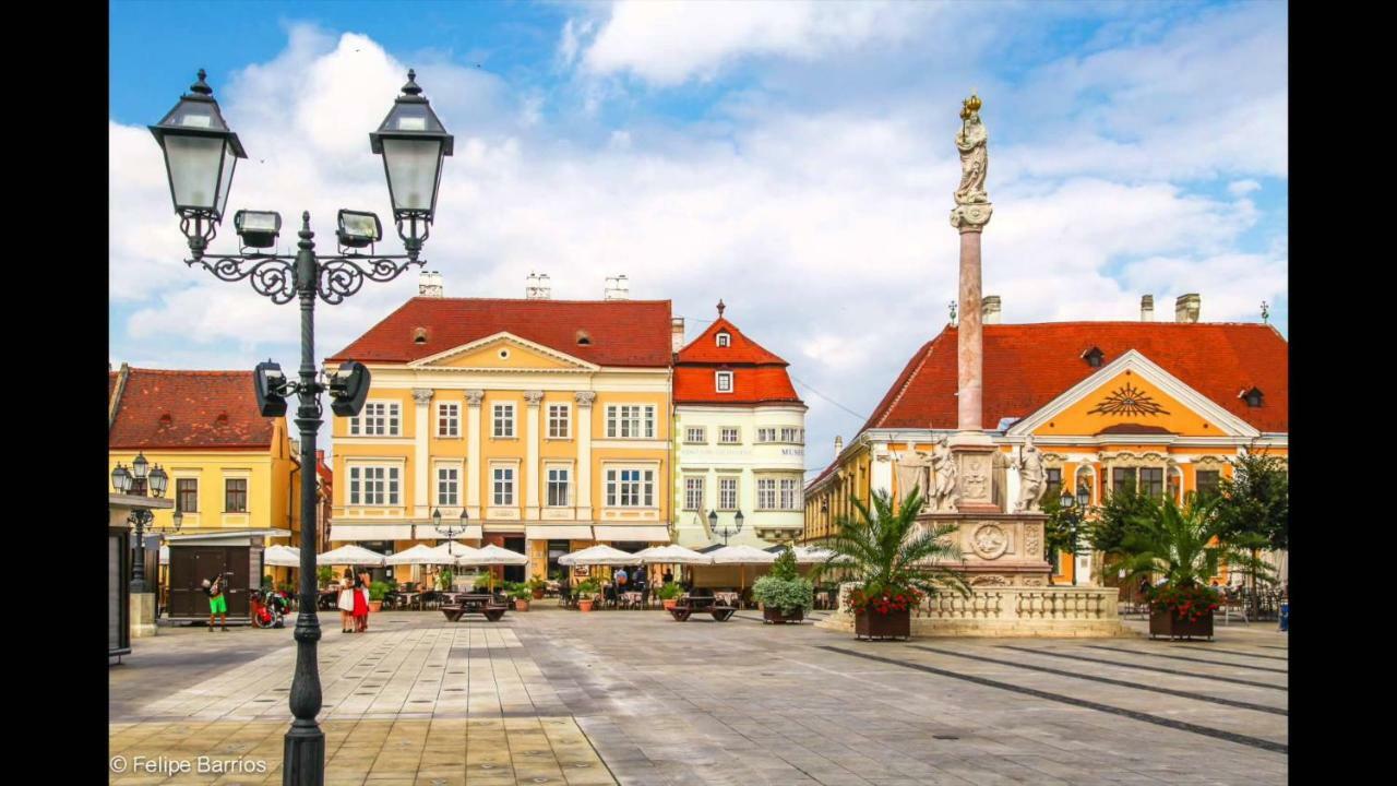 Centrum Apartman With Free Parking Győr Zewnętrze zdjęcie